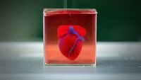 в Израиле напечатали сердце на 3D принтере